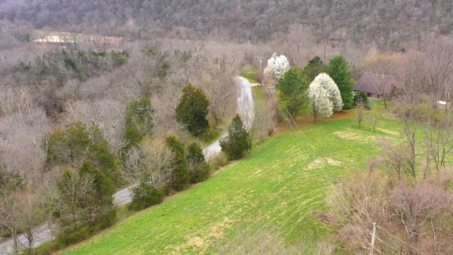 aerial view with a view of trees