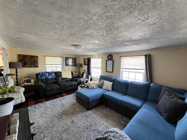 living room featuring a textured ceiling and wood finished floors