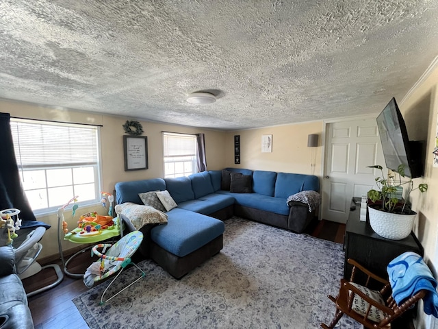 living area featuring a textured ceiling and hardwood / wood-style flooring