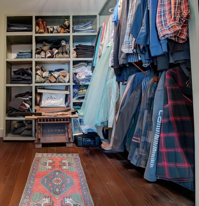 spacious closet with wood-type flooring