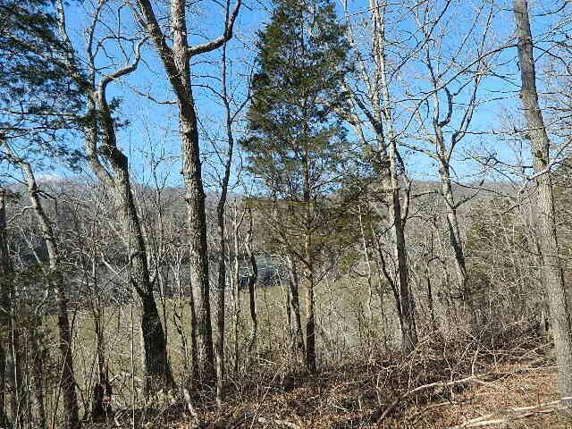 Listing photo 2 for 86 N Fork Dr, Burnside KY 41519