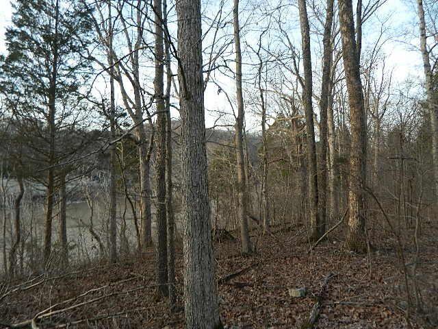 Listing photo 3 for 86 N Fork Dr, Burnside KY 41519