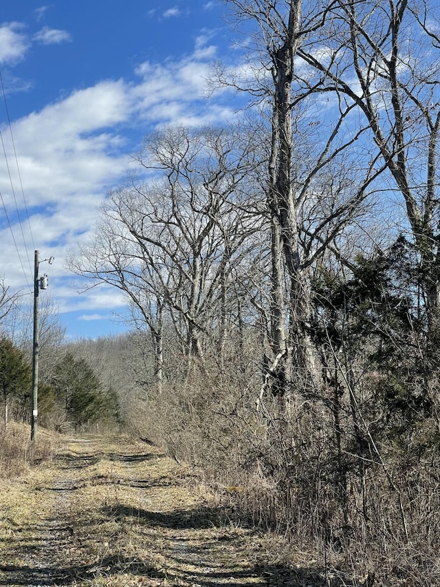 Listing photo 3 for 45AC Ridge Rd, Flemingsburg KY 41041