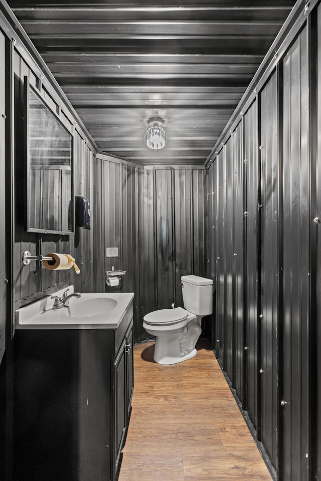 bathroom featuring vanity, toilet, and wood finished floors