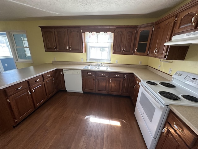 kitchen with white appliances, dark wood finished floors, light countertops, under cabinet range hood, and a sink