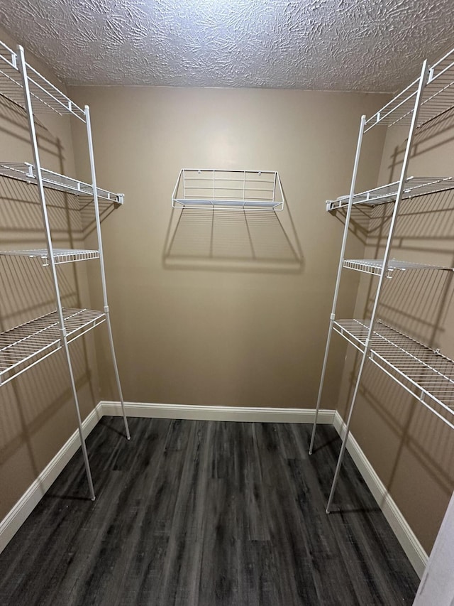 spacious closet with dark wood-style flooring