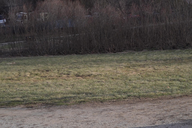 3235 N Stepstone Rd, Owingsville, KY 40360 - view of local wilderness