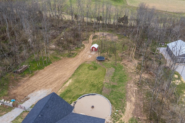 bird's eye view