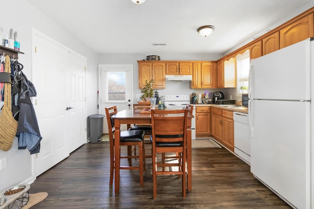 kitchen with under cabinet range hood, plenty of natural light, white appliances, and dark wood-style flooring