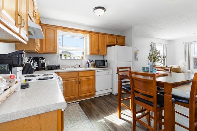 kitchen featuring a sink, dark wood-style floors, white appliances, light countertops, and extractor fan