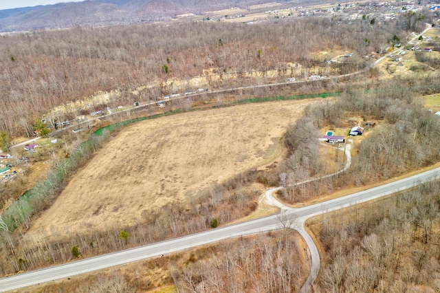 birds eye view of property with a mountain view and a rural view