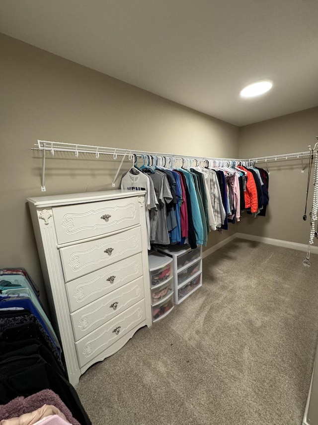 walk in closet with carpet flooring