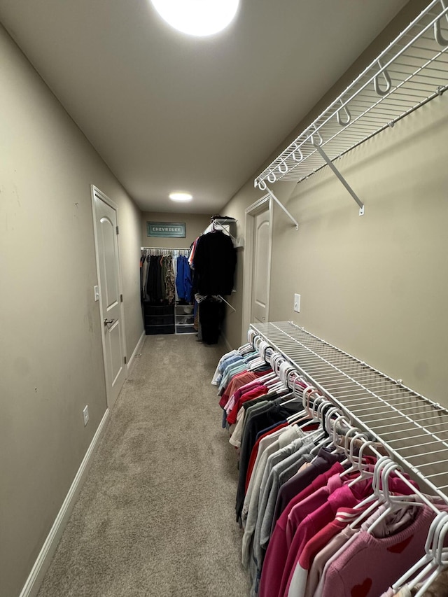 spacious closet featuring carpet flooring