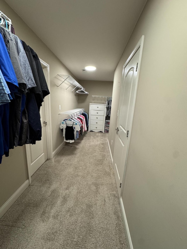 spacious closet featuring carpet flooring