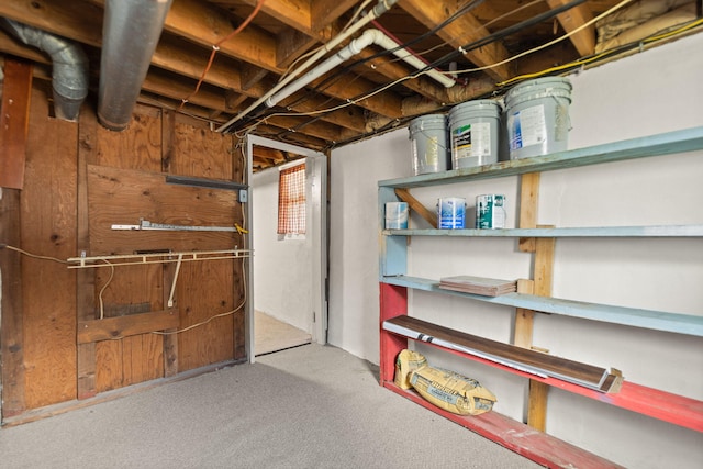 unfinished basement featuring carpet floors