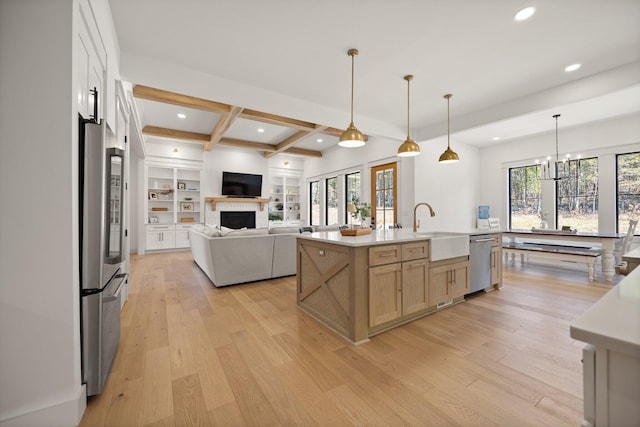 kitchen featuring stainless steel appliances, light wood-type flooring, a wealth of natural light, and a fireplace