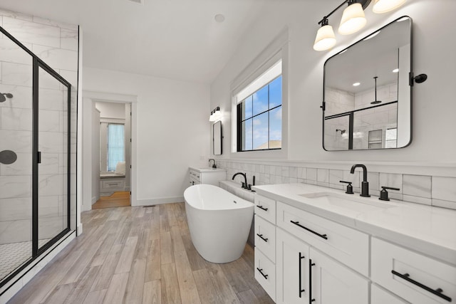 bathroom featuring a sink, a wealth of natural light, and a shower stall