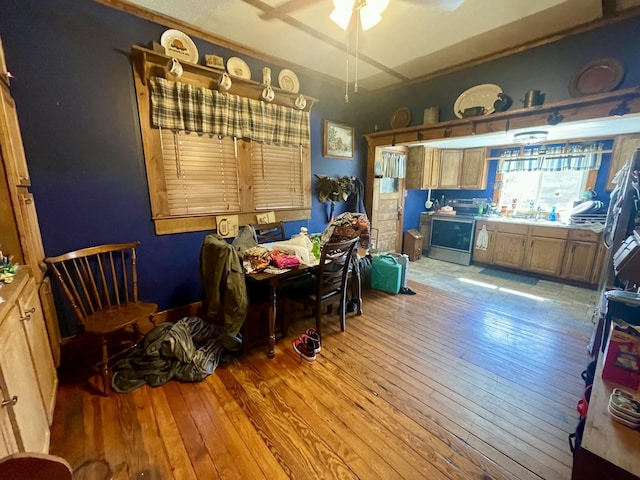 dining area featuring light wood-style flooring and a ceiling fan