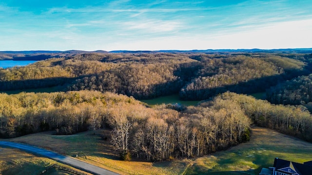 00 Hickory Point Dr, Monticello KY, 42633 land for sale