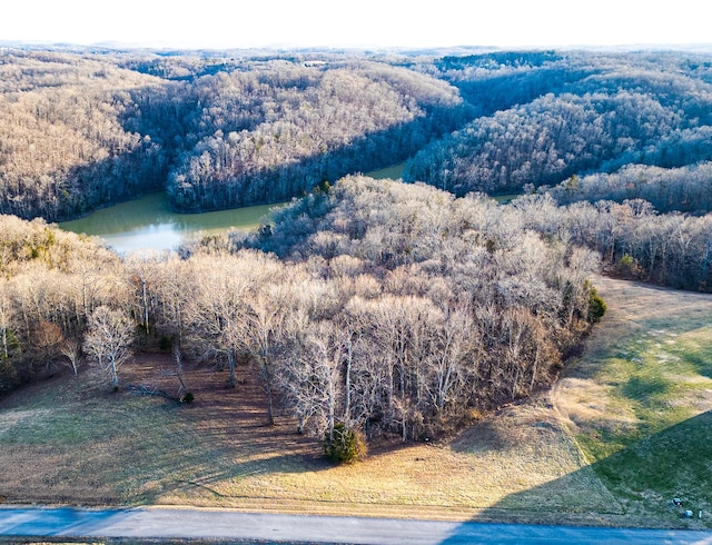 Listing photo 3 for 00 Hickory Point Dr, Monticello KY 42633