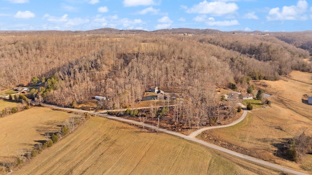 birds eye view of property with a view of trees and a mountain view