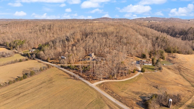 drone / aerial view featuring a mountain view and a forest view