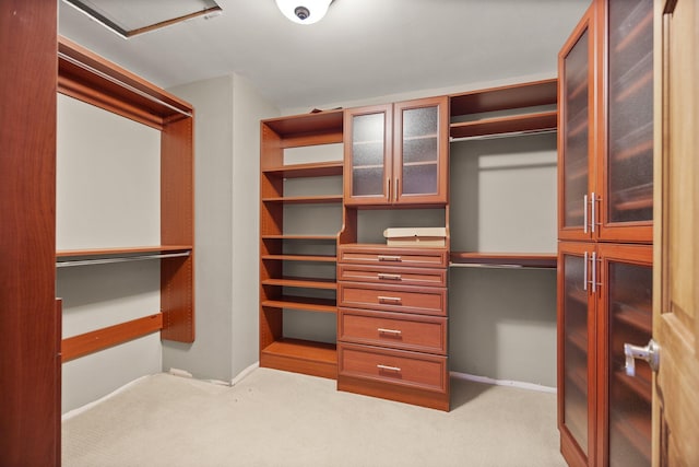 spacious closet with carpet floors