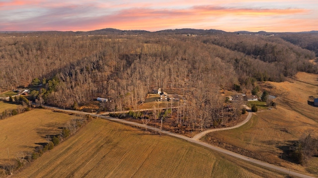 aerial view featuring a forest view and a mountain view