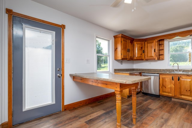 kitchen featuring dark wood-type flooring, a healthy amount of sunlight, dishwasher, and a sink