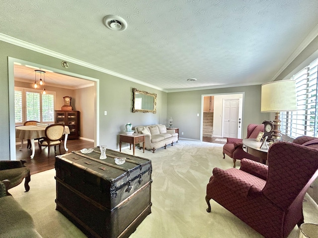 living room featuring a textured ceiling, ornamental molding, and baseboards