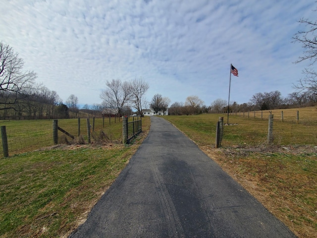 view of street featuring aphalt driveway, a rural view, and a gated entry