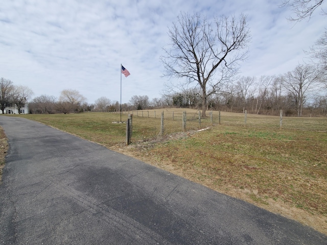 view of road with aphalt driveway