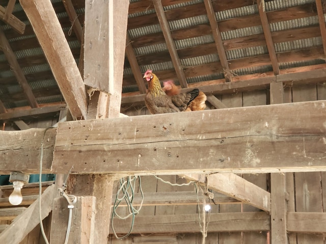 view of unfinished attic