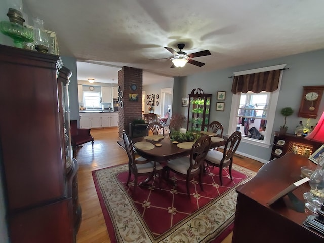 dining room featuring light wood finished floors and plenty of natural light