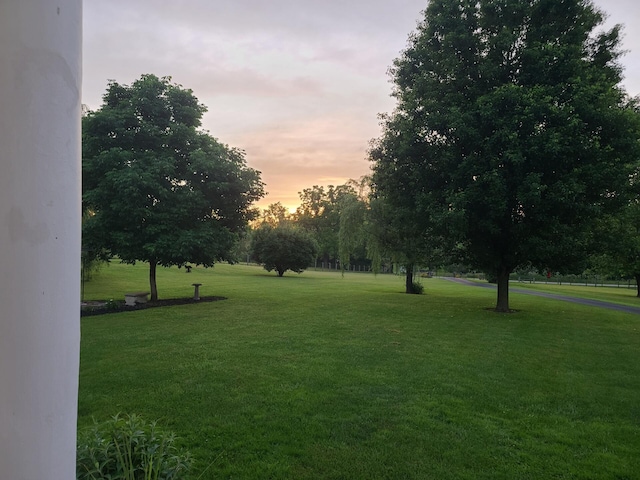 view of home's community featuring a yard