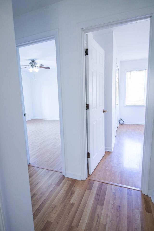 hallway with baseboards and wood finished floors