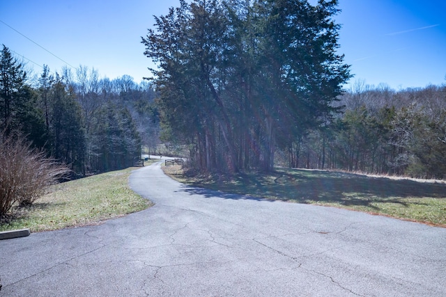 view of road featuring a view of trees