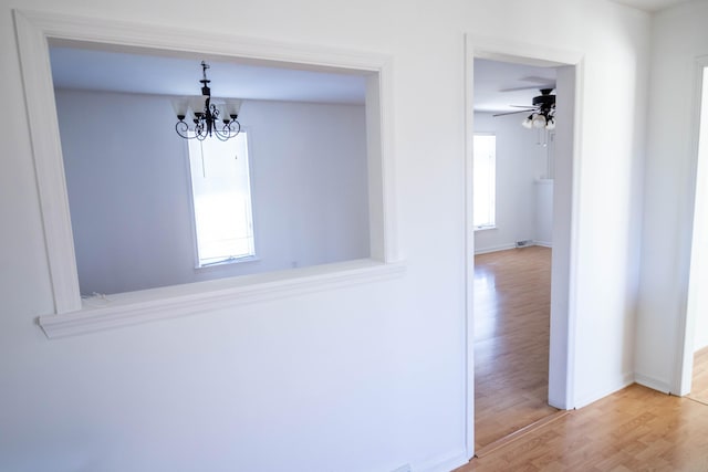 corridor featuring a chandelier, baseboards, plenty of natural light, and light wood finished floors