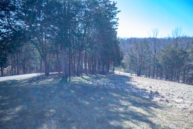 view of road featuring a forest view