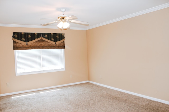 415 David Ln, Winchester, KY 40391 - carpeted spare room with a ceiling fan and ornamental molding
