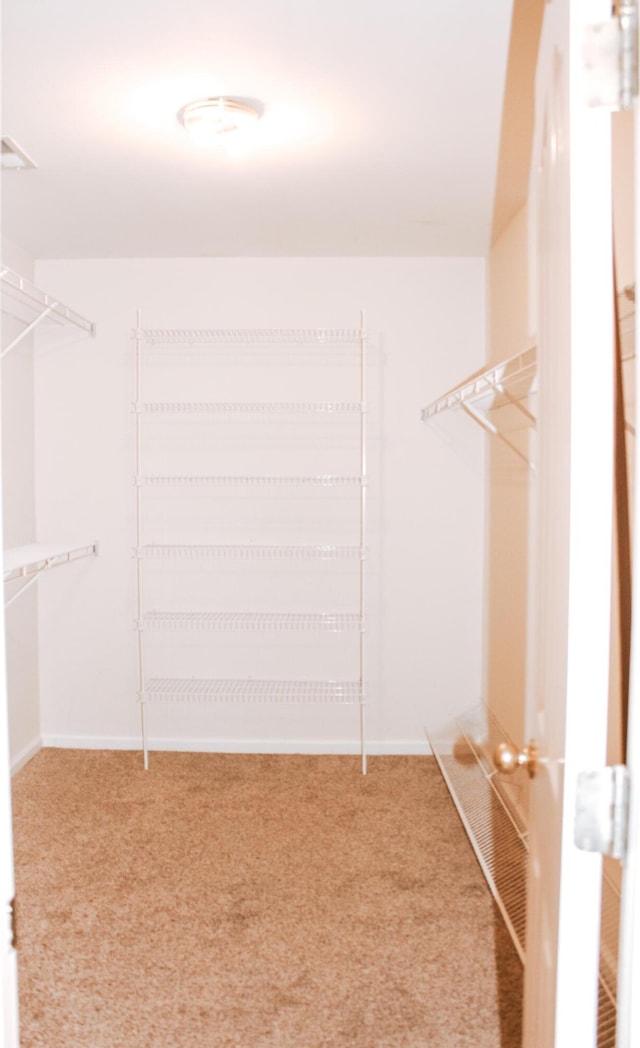 415 David Ln, Winchester, KY 40391 - walk in closet with carpet