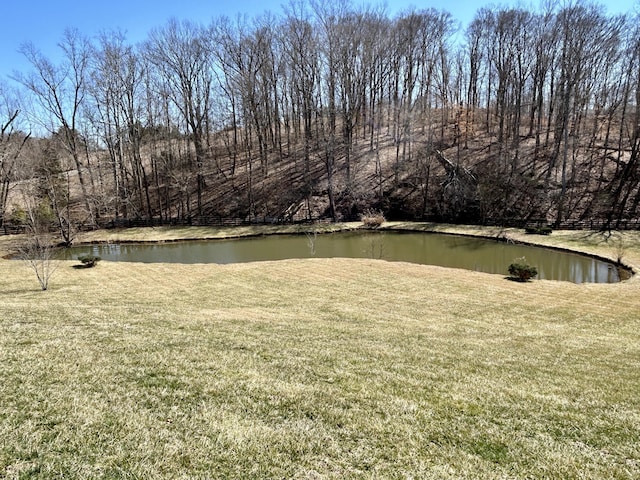 view of water feature