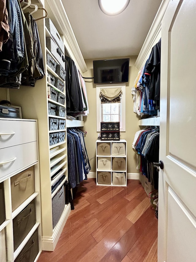 walk in closet featuring wood finished floors