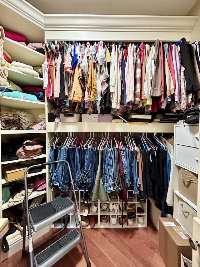 walk in closet featuring wood finished floors