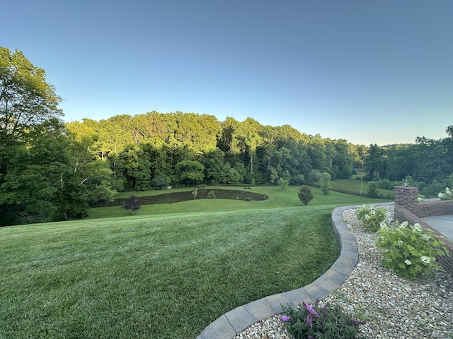 view of home's community with a yard and a forest view