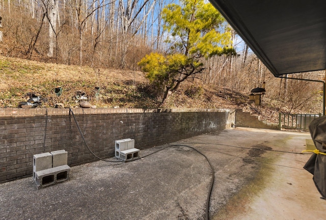 view of yard featuring a patio area