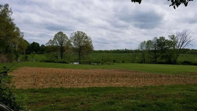 view of nature with a rural view