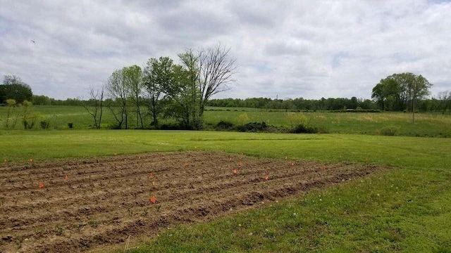 view of yard with a rural view