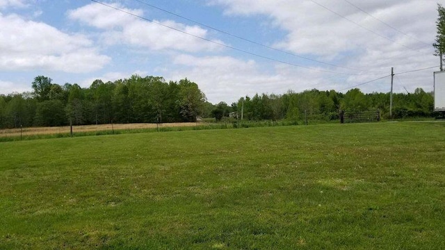 view of yard with a rural view