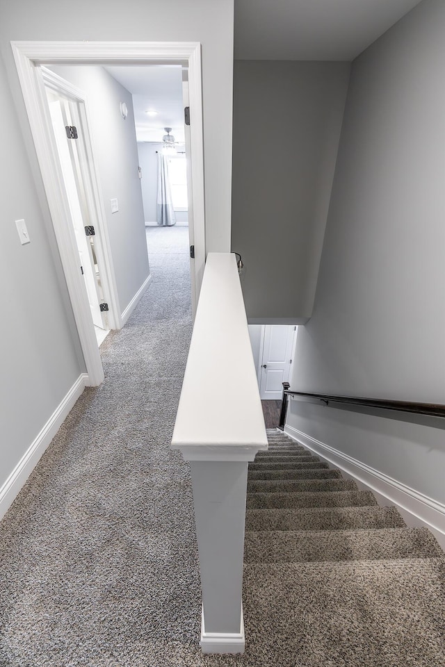 stairway featuring carpet floors, baseboards, and a ceiling fan